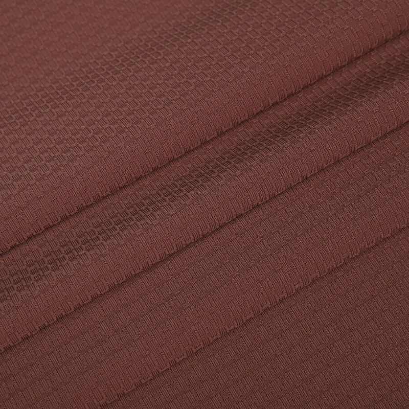 APJ1085 Warp Knitted Brocade Aminoathenian Jacquard Sports Polo Shirt Fabric